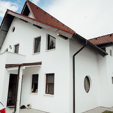 Autentic Adorabil Apartment Albestii Paminteni ภายนอก รูปภาพ