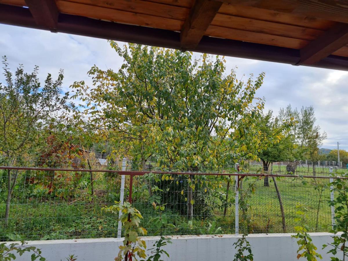 Autentic Adorabil Apartment Albestii Paminteni ภายนอก รูปภาพ